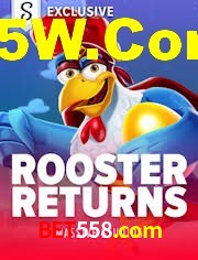 Crash Games Strategies bet558.com