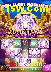 Experiência VIP bet558.com